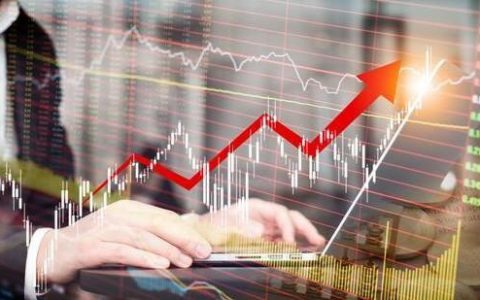 国际期货2019净利润